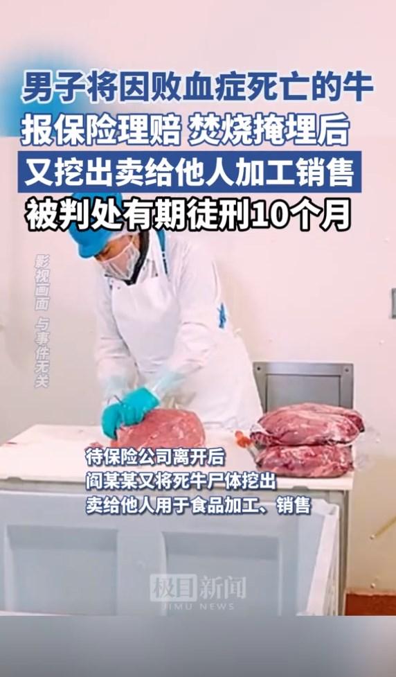 男子獲理賠后又將病死牛挖出來賣