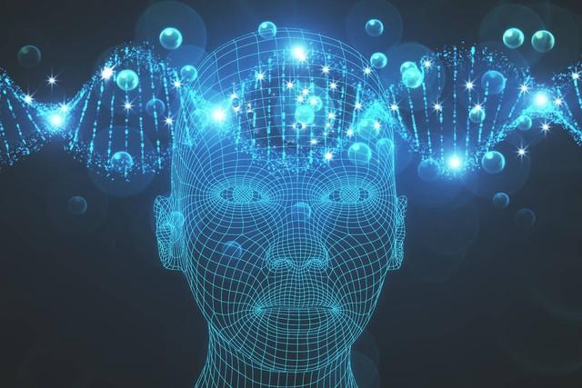 2024 年您應(yīng)該了解的人工智能類型