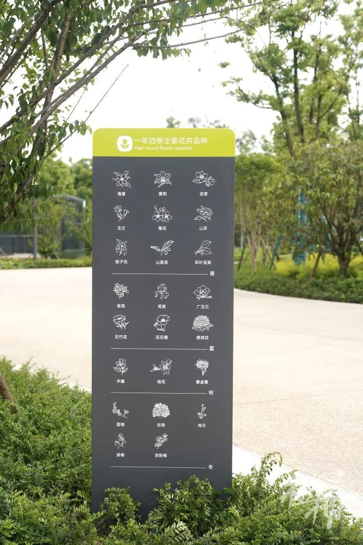 連鳥都照顧到了,阿里巴巴杭州全球總部,到底藏著多少小心思?