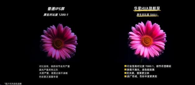 做一臺用戶真正需要的電視機,TCL Q9L不忘初心